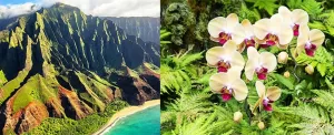 شگفت انگیز ترین جاذبه های توریستی در جزیره ی هاوایی
