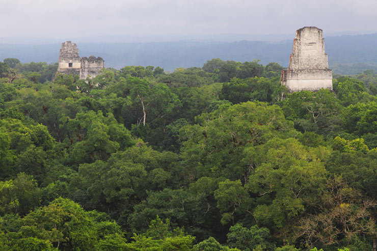 Tikal