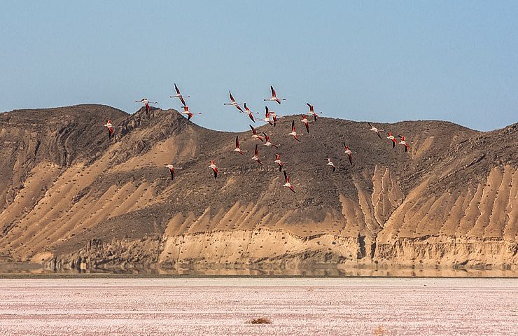 پارک ملی بختگان