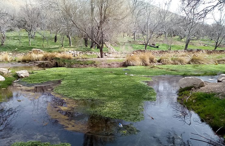 روستای خورجان