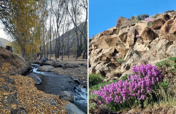 روستای اَردها