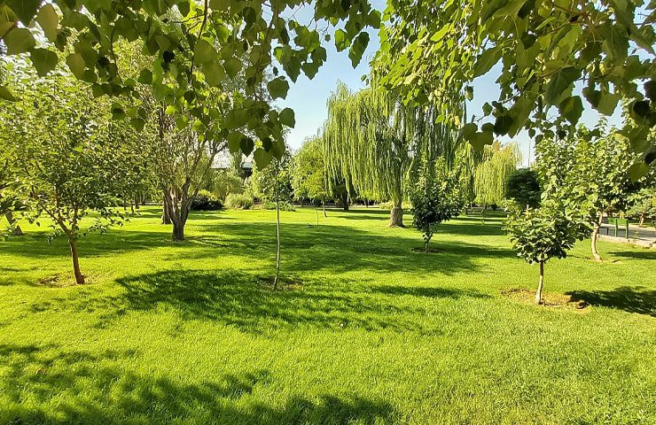 پارک بهمن