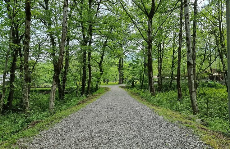 پارک جنگلی چالدره کجاست؟