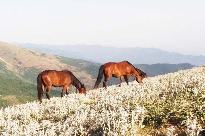 جاهای دیدنی نزدیک به جواهردشت