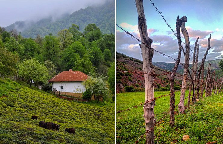 دام ها و خانه های روستایی املش 