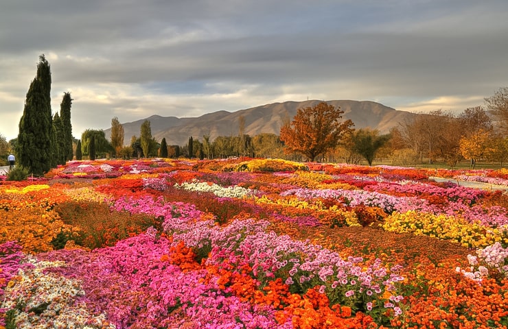 باغ گیاه شناسی تهران