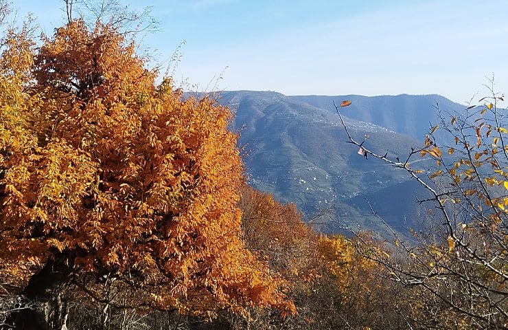 روستای جنت رودبار 