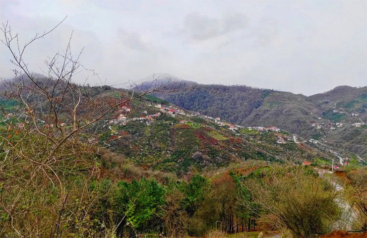 منطقه جنگلی جنگسرا در کنار روستای جنگسرا