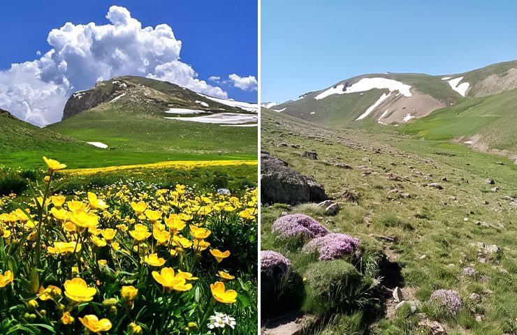 روستای لیقوان