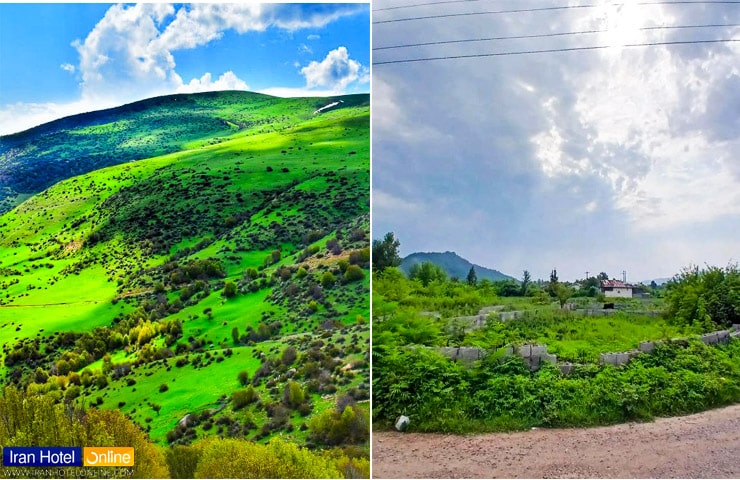 طبیعت زیبای روستای طلاکوه و منظره ییلاقی اطراف