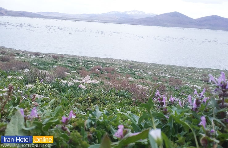 دریاچه قوپی بابا علی مهاباد