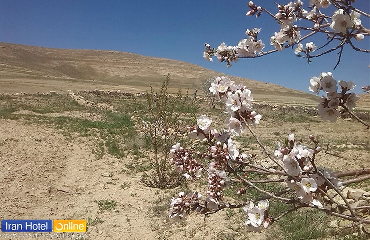 منطقه حفاظت شده بیجار در فصل بهار