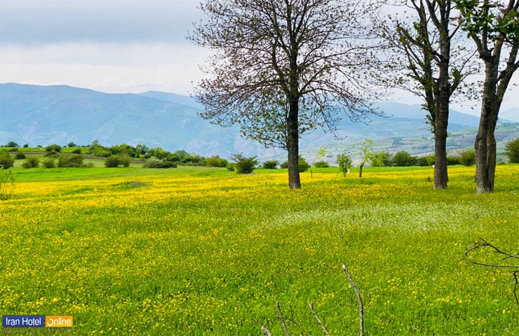 دشت های زیبای دیلمان